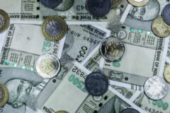 Decoding Modi’s appeal A national economic shield during global crisis