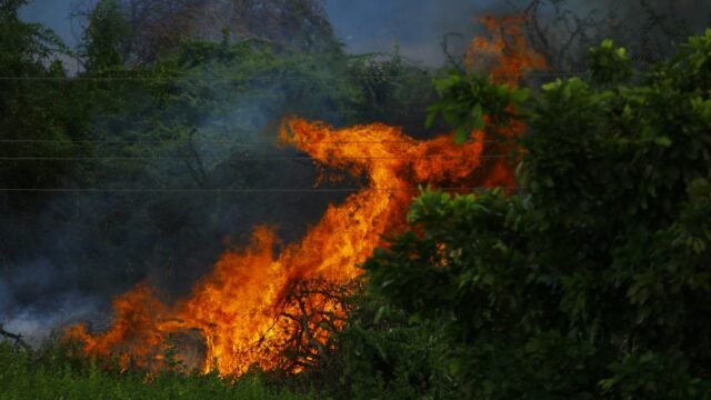 DGHS Issues Advisory To Protect Citizens From Heat Stress, Illnesses; Recommends AYUSH Remedies