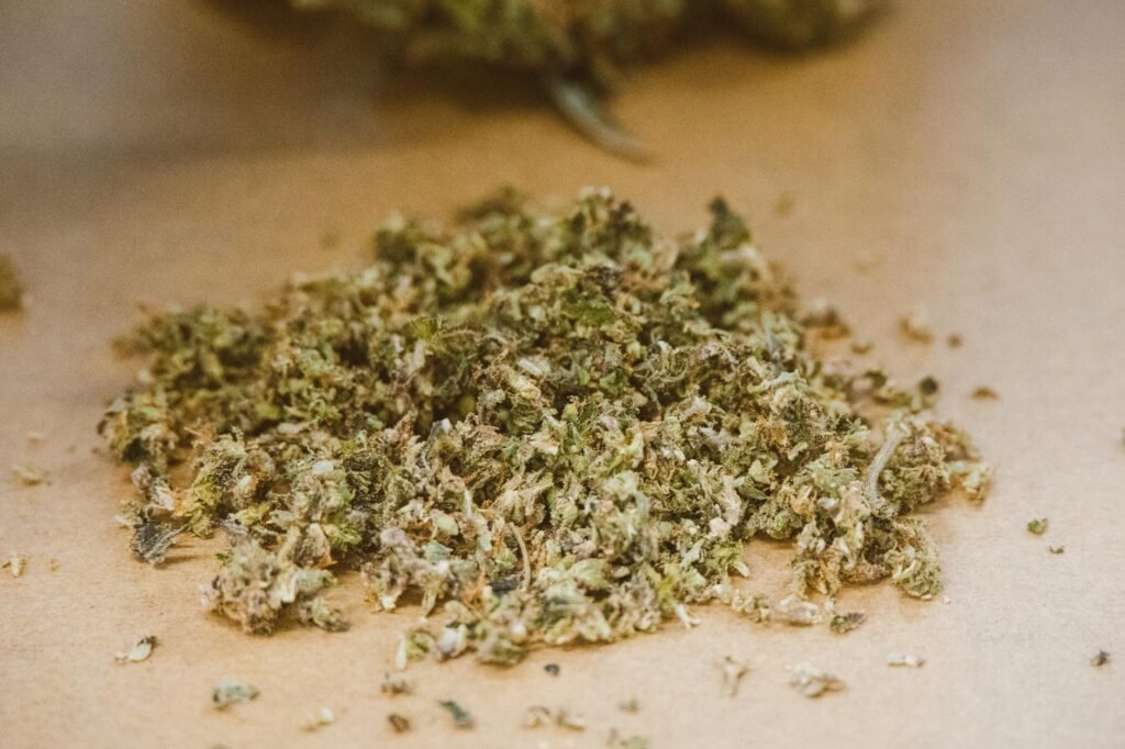 Forest Department destroys Cannabis