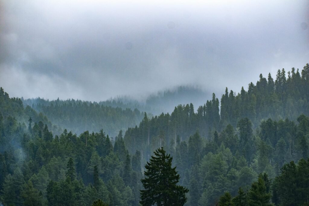 Forest Department Makes Aadhaar-Based Biometric Attendance Mandatory Across Kashmir