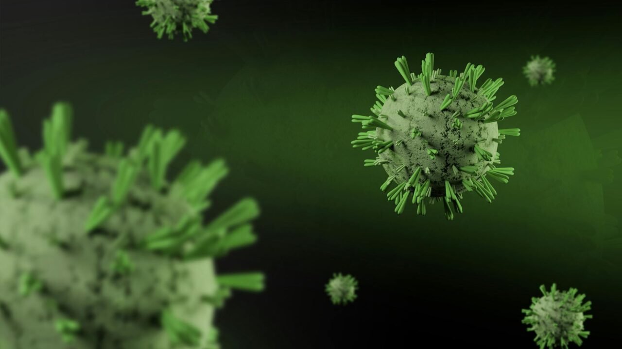 Hantavirus: Persistent Global Threat With No Known Cure