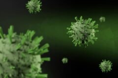 Hantavirus Outbreaks Are Rare, but They Aren’t Going Away and There’s No Cure