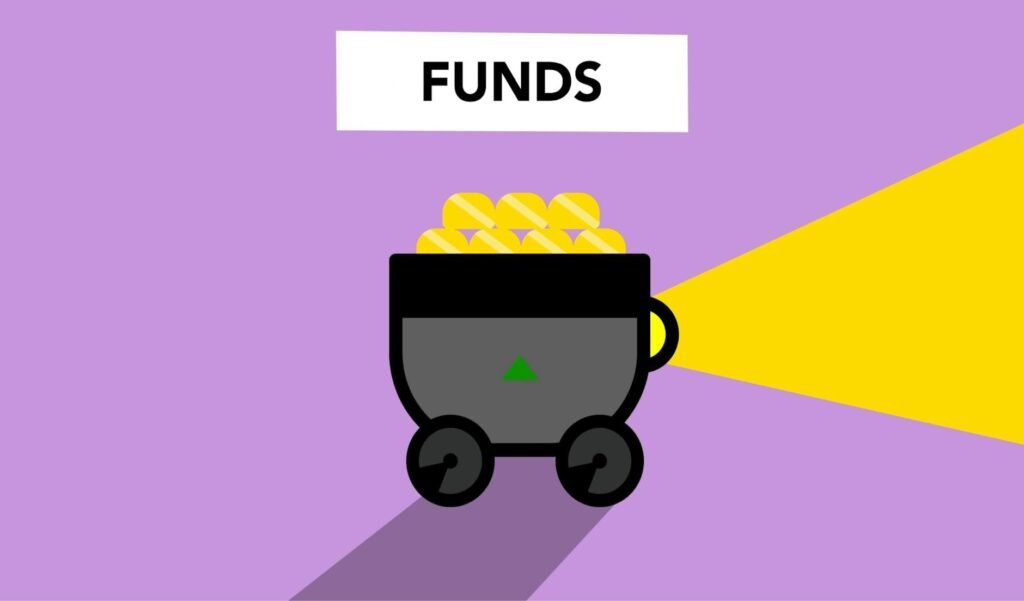 How to Choose the Right Fund Option in a ULIP Plan