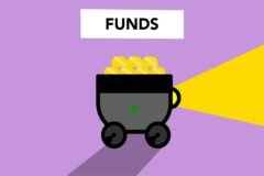 How to Choose the Right Fund Option in a ULIP Plan