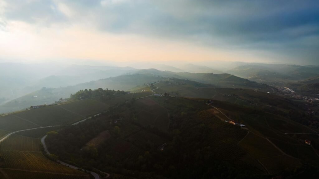 How Wine, Truffles and Honey Could Help Europe Fight Wildfires