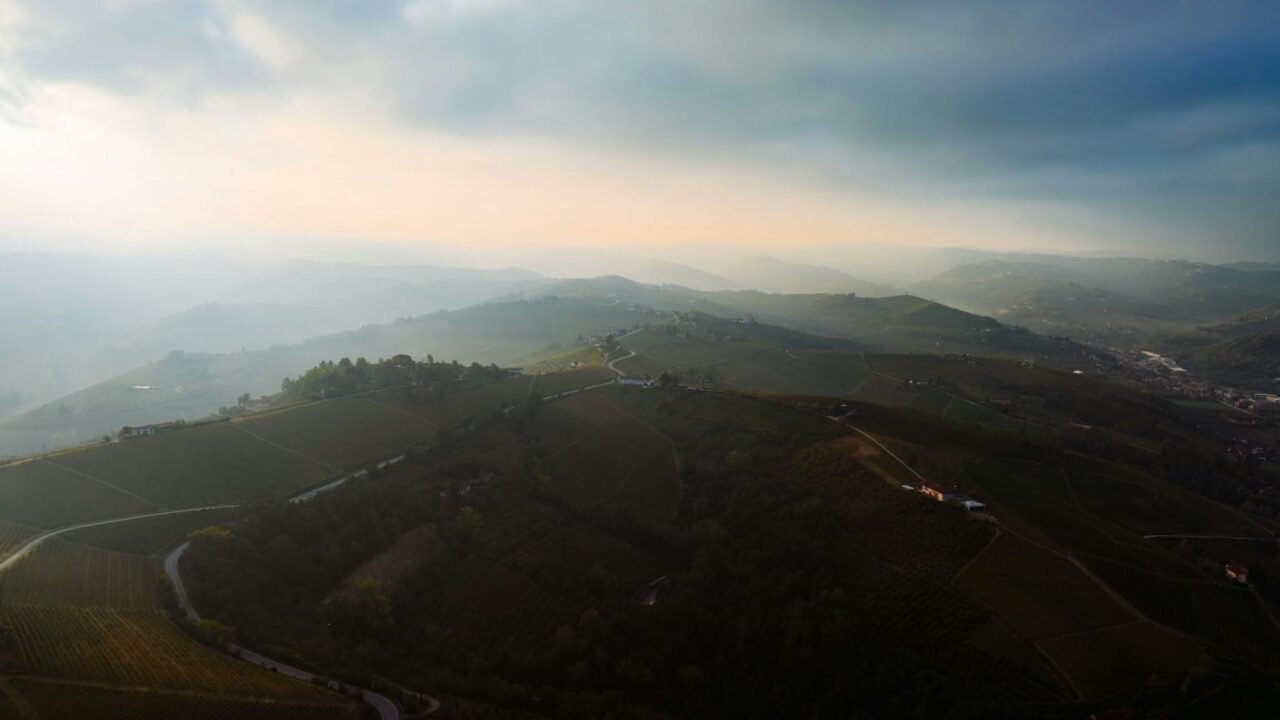 Europe’s Elite Produce Offer Unexpected Firefighting Allies