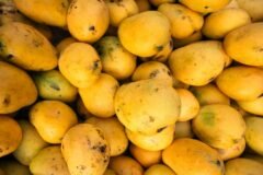 Indian mango varieties now available at retail chains in Greater Seattle