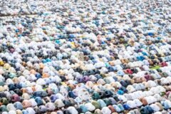 J-K government grants special casual leave on third day of Eid-ul-Azha          