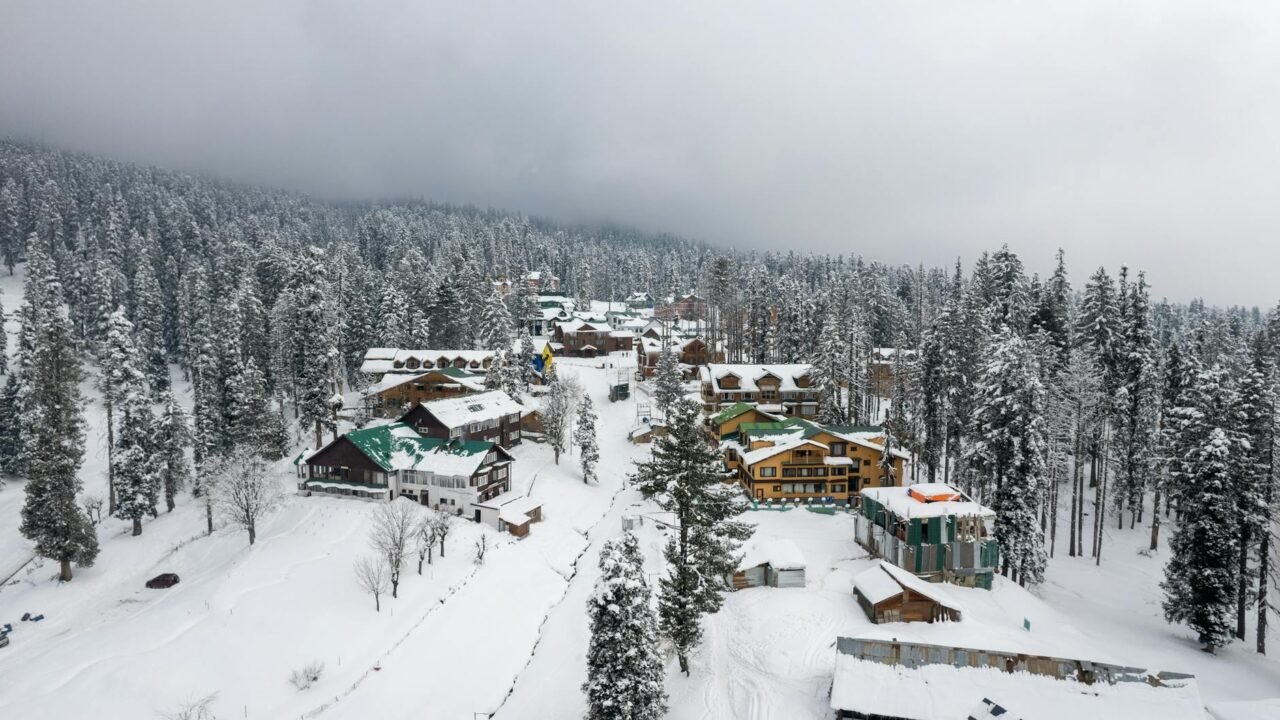 Jammu & Kashmir Approves Road Project in Gulmarg Wildlife Sanctuary