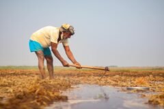 NCP (SP) leader slams Maharashtra govt over farmer suicides, crimes against women, corruption