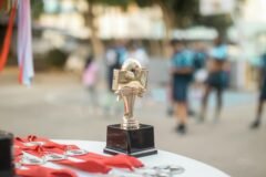 NTPC honours K M Prashanth and J P Sharma with top IPSE awards