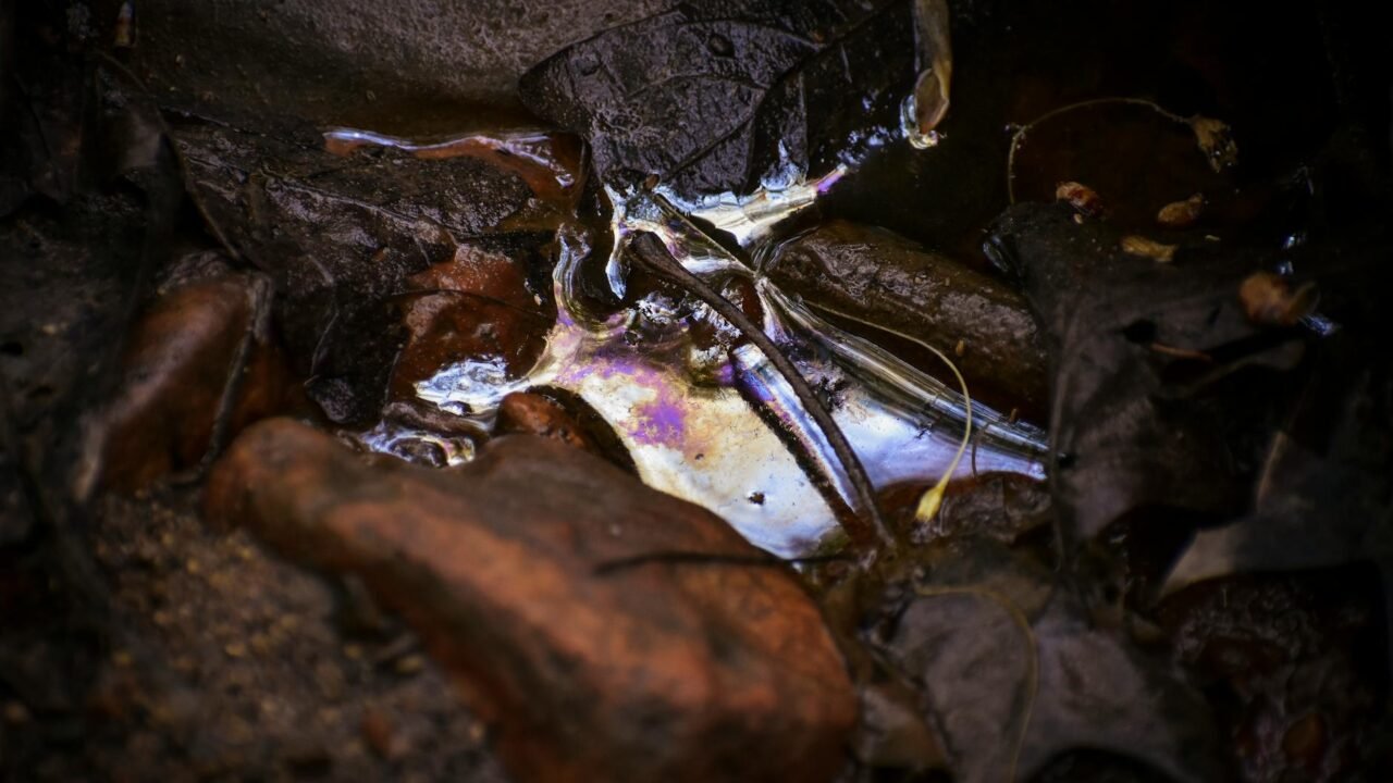 Persian Gulf Island Faces Ecological Threat as Oil Slick Arrives