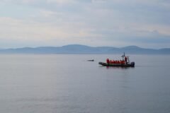 Timmy the Stranded Whale Is Released After an Elaborate Rescue