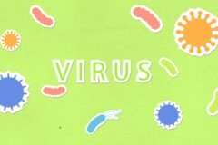 Why the Ebola and Hantavirus Outbreaks Have Confounded Scientists
