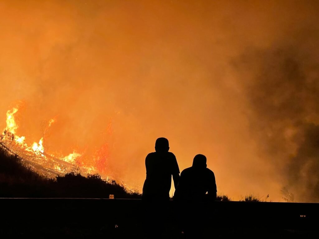 2025 Wildfires Were the Costliest Ever, Researchers Say