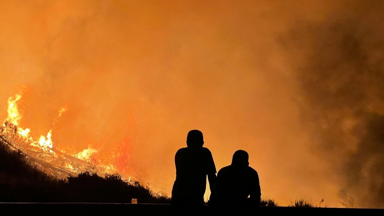 2025 Wildfires Shatter Records for Damage Costs, Researchers Confirm