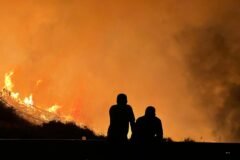 2025 Wildfires Were the Costliest Ever, Researchers Say