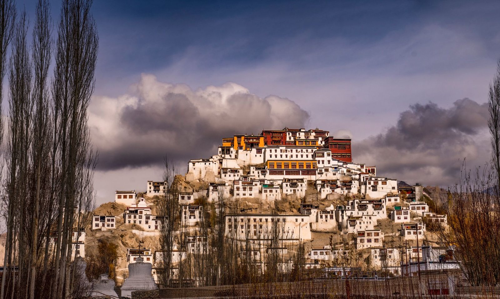 8 handicraft products from Ladakh granted GI tag