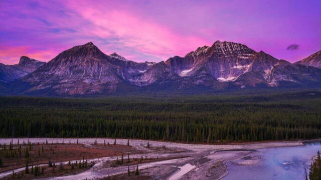 Alberta’s Movement to Separate from Canada Gets Its Moment