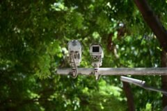 China Exports Surveillance