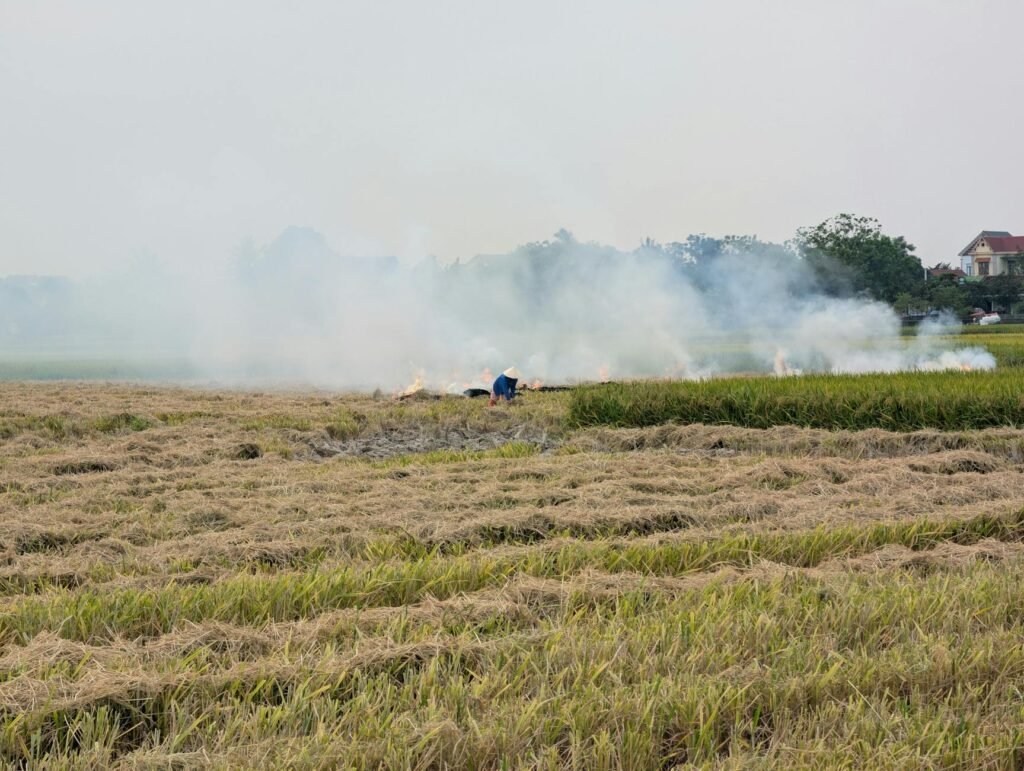 Four Immigrant Workers Burned to Death in Italy