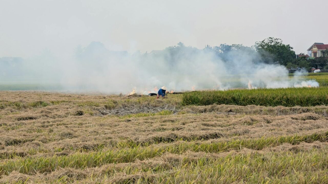 Migrant Workers Perish in Southern Italy Fire Amid Labor Trafficking Concerns