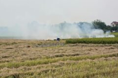 Four Immigrant Workers Burned to Death in Italy