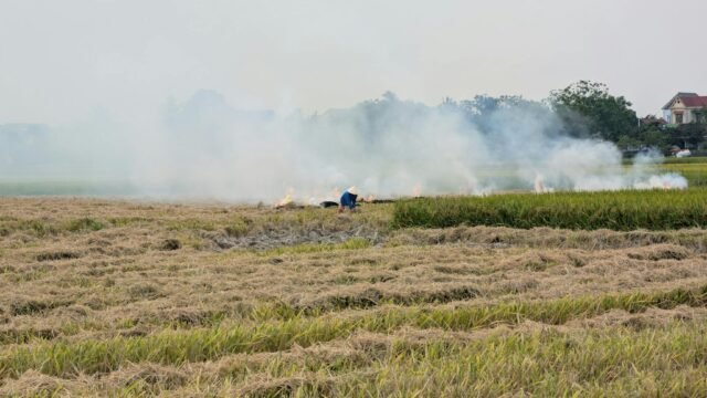 Four Immigrant Workers Burned to Death in Italy