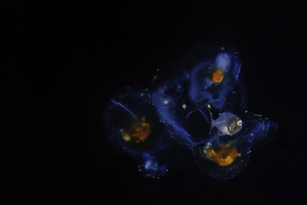 How One Company Plans to Mine the Bottom of the Sea