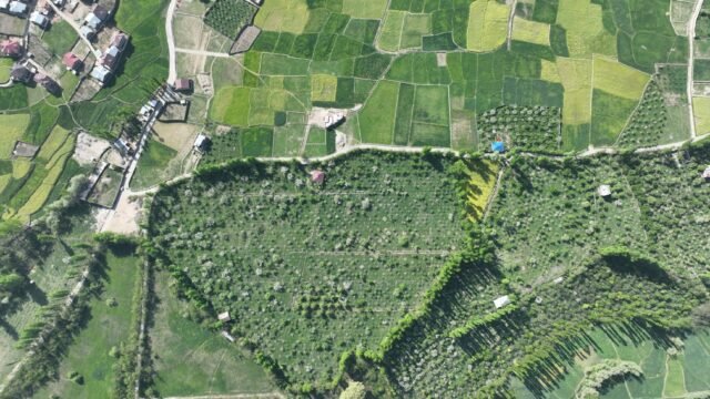 J&K notifies VB-G RAM-G scheme; will come into force from July 1