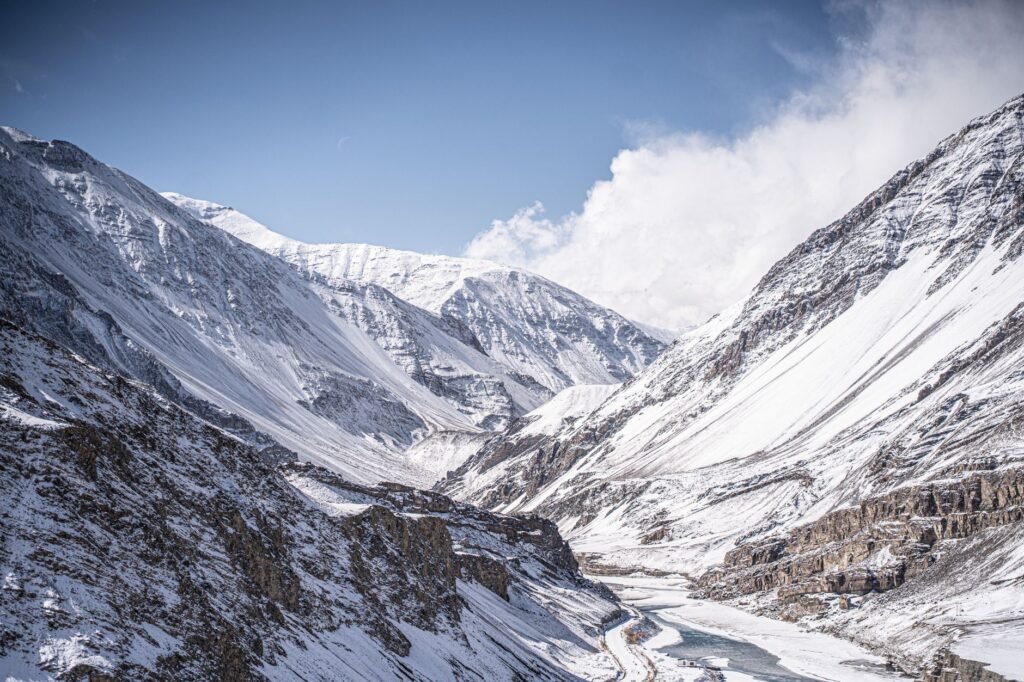 L-G approves first-ever snow leopard conservation society in Ladakh