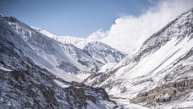 L-G approves first-ever snow leopard conservation society in Ladakh