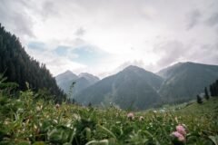 L-G Manoj Sinha reviews Amarnath Yatra preparations at Pahalgam