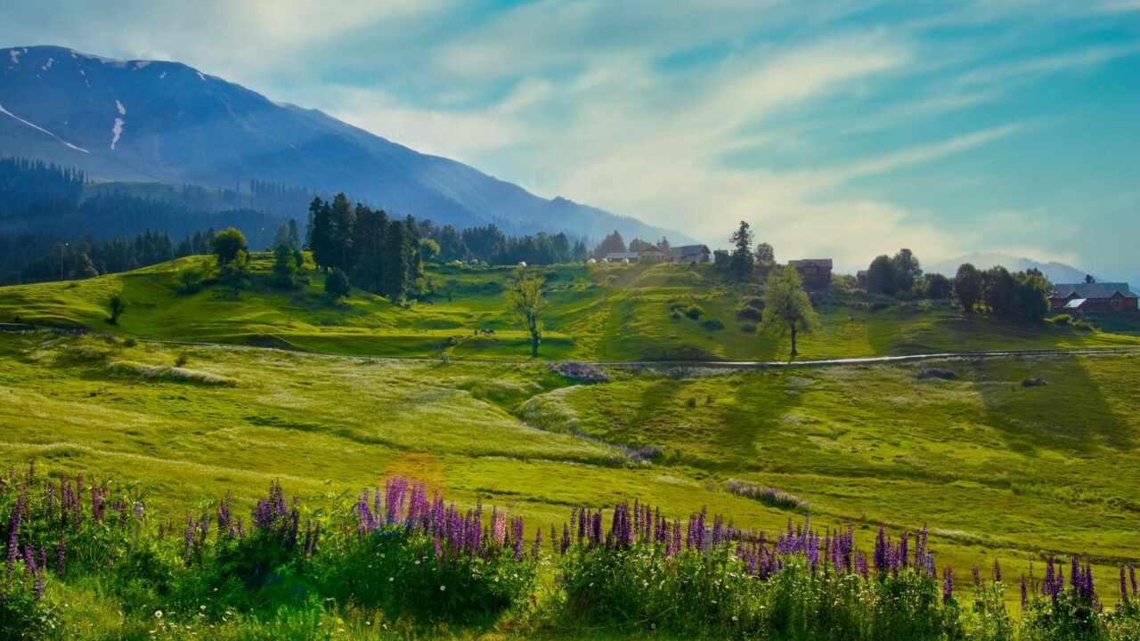 J&K’s Natural Wonders: A Delicate Balance Between Conservation and Curiosity
