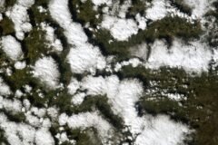 NOAA Issues El Nino Advisory
