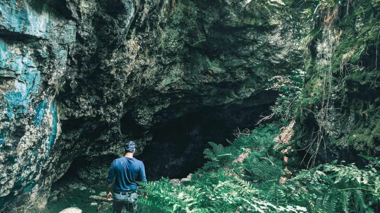 Rajouri Forests: Security Forces Intensify Search for Elusive Militants in Caves
