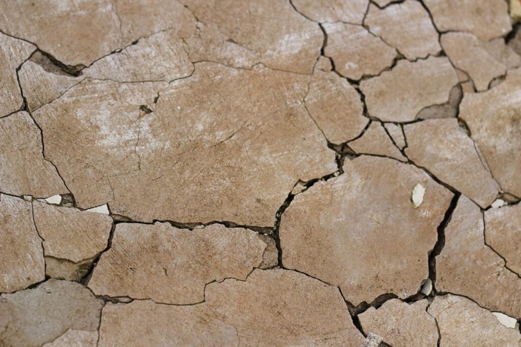 Several houses damaged in Rajouri subsidence