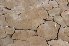 Several houses damaged in Rajouri subsidence