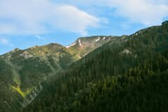 Special operations team rescues shepherd from remote Ganderbal forest