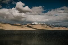 SUV seized for chasing endangered Tibetan Gazelle in Ladakh