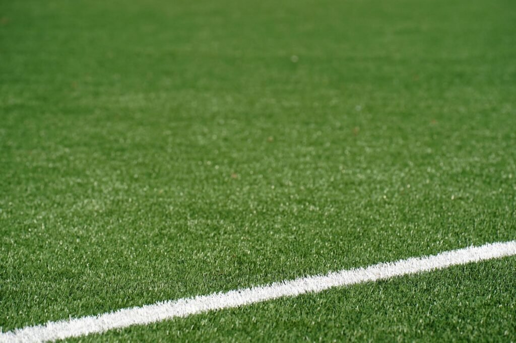 The Scientific Quest for Perfect World Cup Pitch