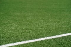 The Scientific Quest for Perfect World Cup Pitch