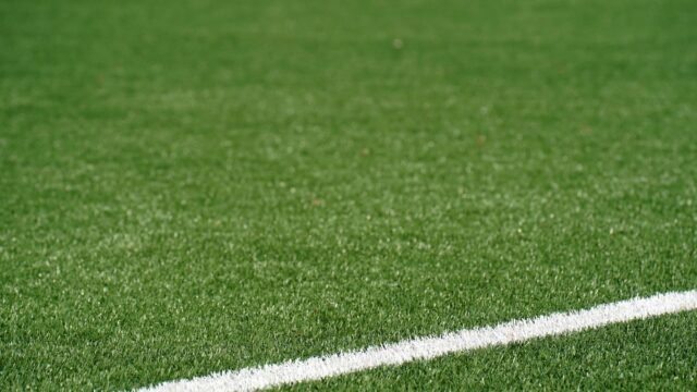 The Scientific Quest for Perfect World Cup Pitch