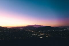 Urban Light Pollution Might Be Worsening Allergies