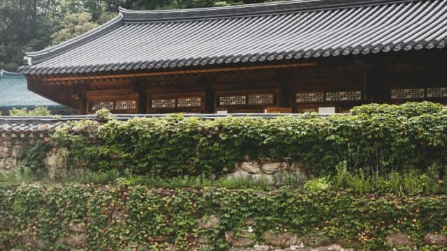 What to Know About South Korea’s Elections