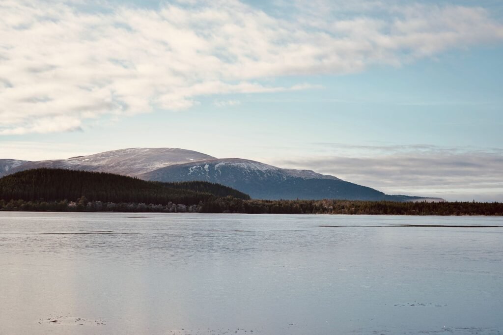 As Wildfires Plague Europe, Scotland Races to Save a Cherished National Park