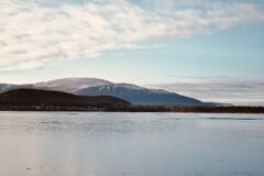 As Wildfires Plague Europe, Scotland Races to Save a Cherished National Park