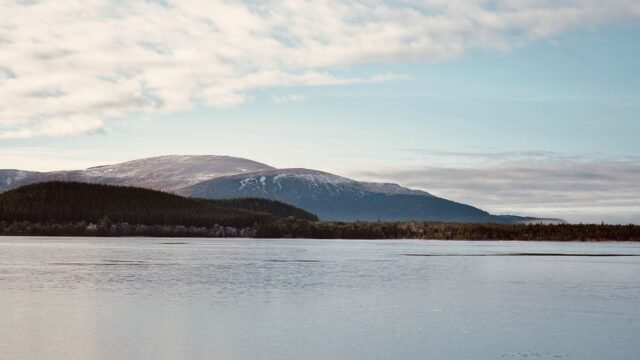 As Wildfires Plague Europe, Scotland Races to Save a Cherished National Park