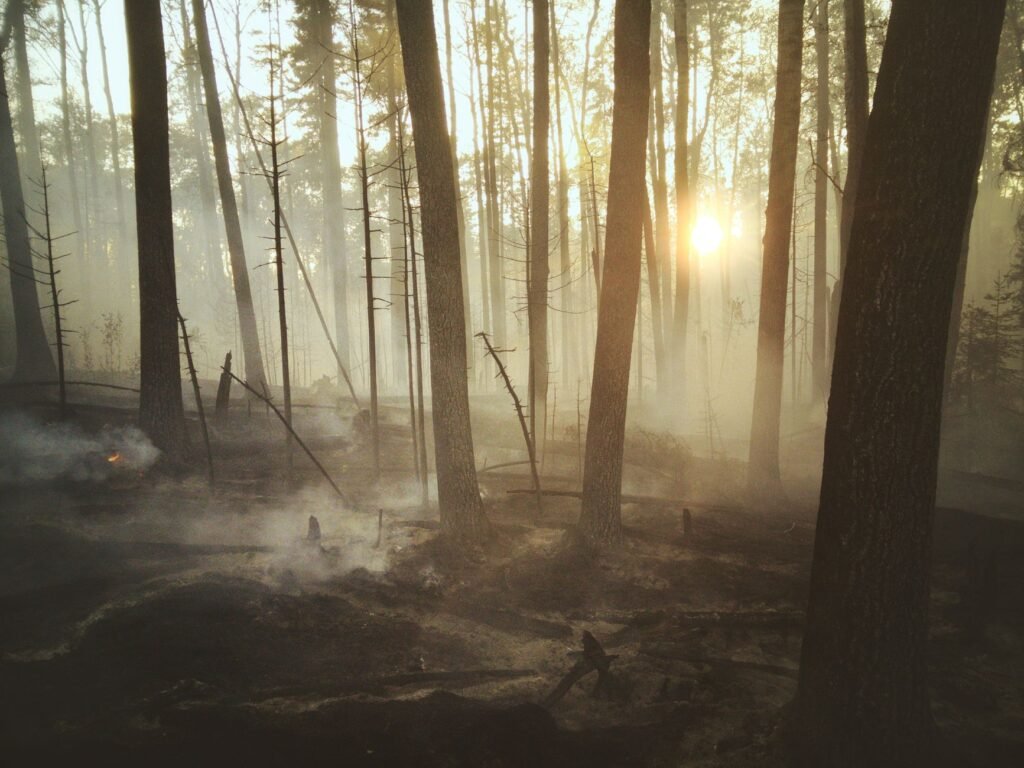 Canada Wildfires: What to Know