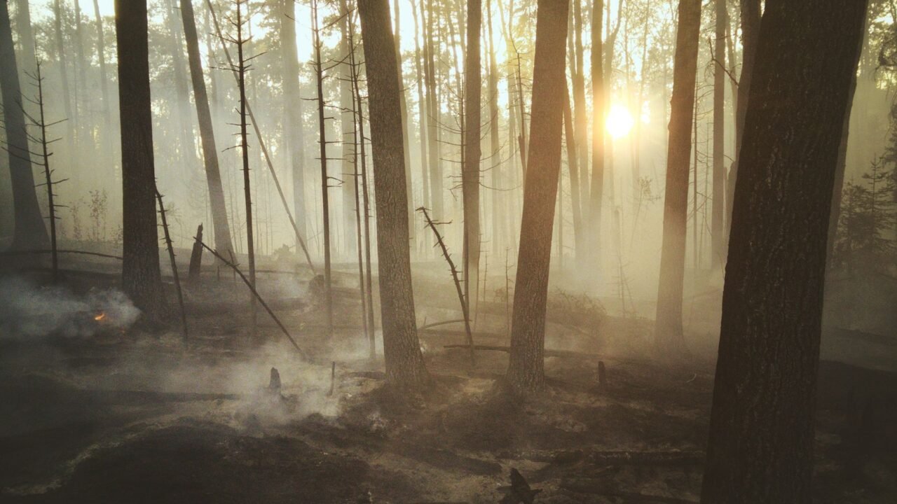 Canada Wildfires: North America Chokes on Dense Smoke